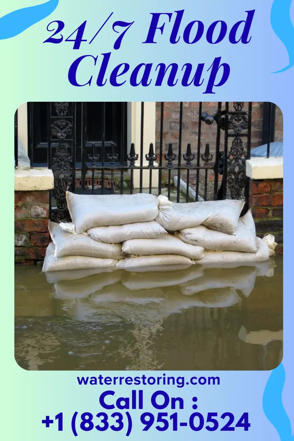 24/7 Flood Cleanup in Olive Hill, KY