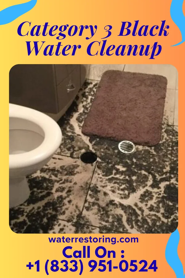 Category 3 Black Water Cleanup in Olive Hill, KY