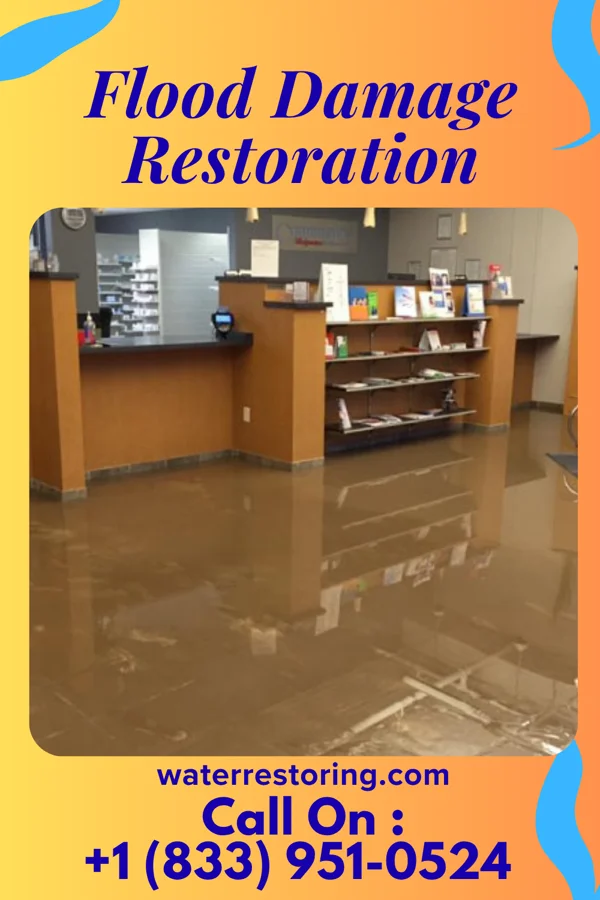 Flood Damage Restoration in Olive Hill, KY