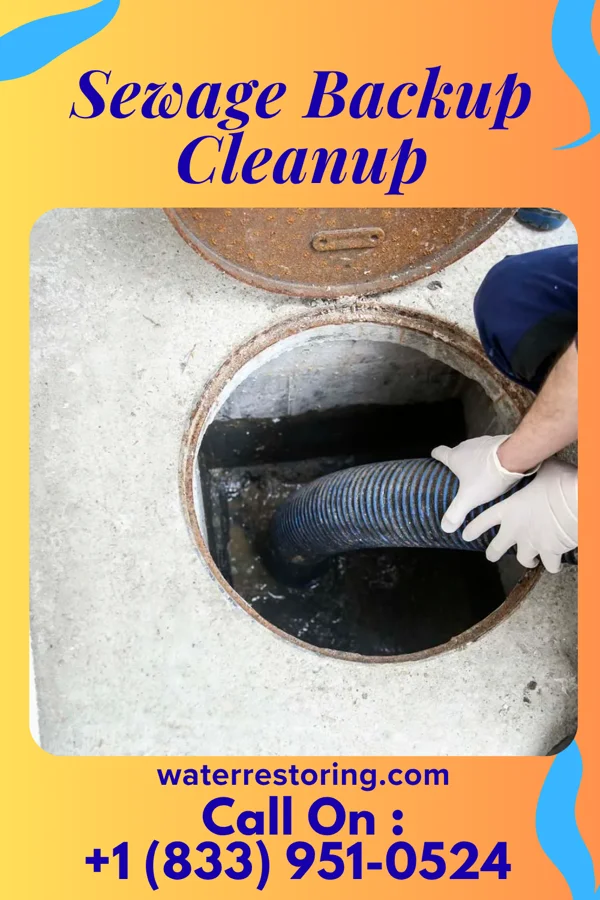 Sewage Backup Cleanup in Olive Hill, KY