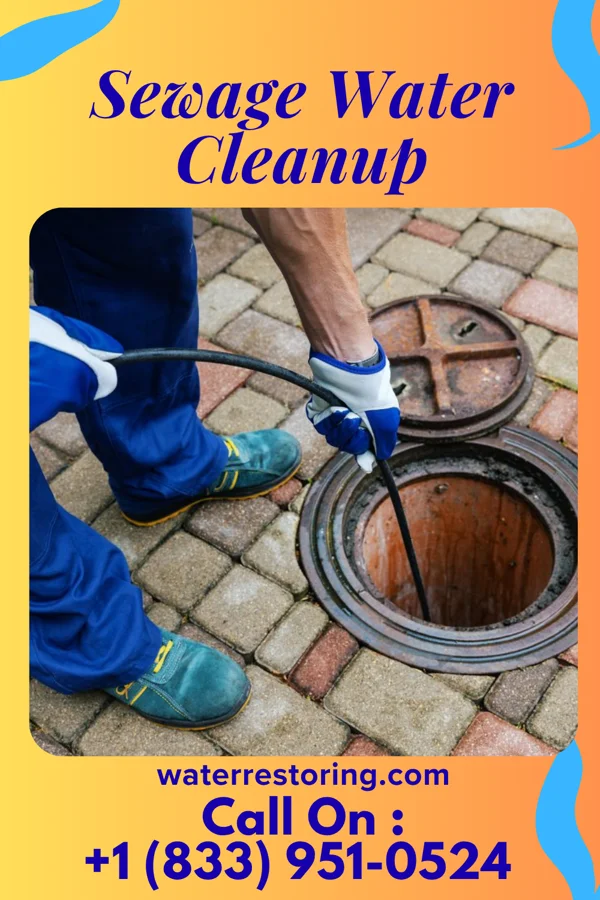 Sewage Water Cleanup in Olive Hill, KY